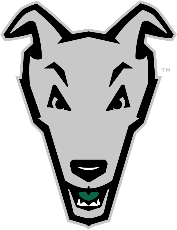 Loyola-Maryland Greyhounds 2011-Pres Alternate Logo diy iron on heat transfer